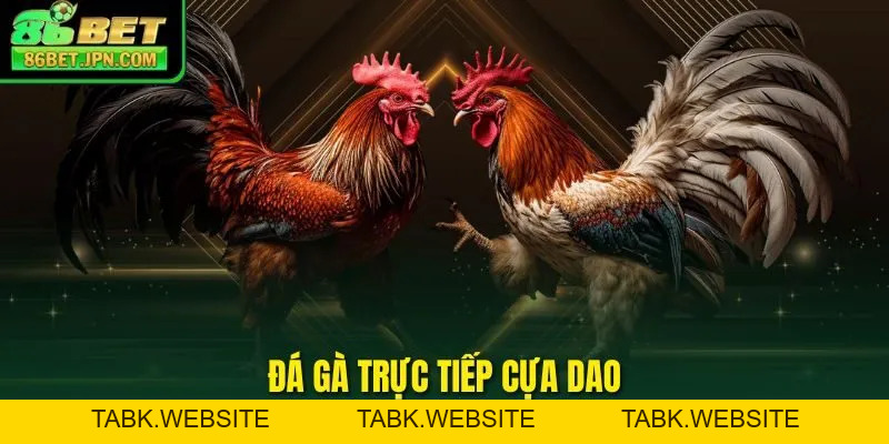 86BET ⭐️ Nhà Cái Uy Tín Top 1 Châu Âu | Lì Xì Phát Lộc +86K