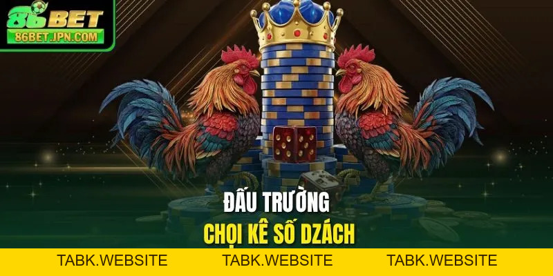 Về Nhà Cái 86BET – Điểm Hẹn Cá Cược Đổi Thưởng Hot Nhất 2026