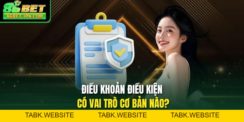 Điều Khoản Điều Kiện - Hệ Thống Quy Tắc Minh Bạch Tại 86BET