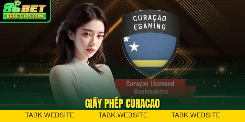 Giấy Phép Curacao - Ban Kiểm Soát Trò Chơi Trực Tuyến TOP 1