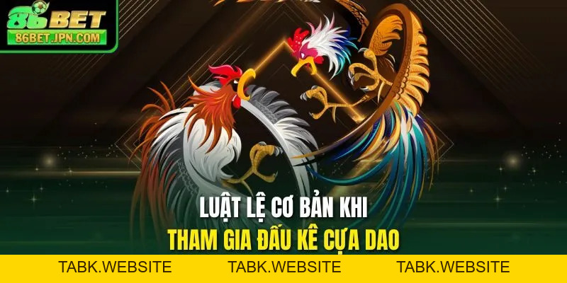 Đá Gà Trực Tiếp Cựa Dao Sự Lựa Chọn Nhiều Nhất 2026