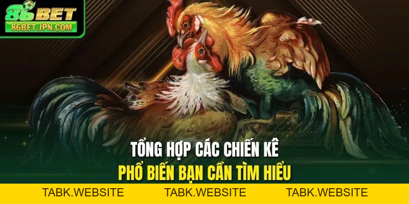 Đá Gà Trực Tiếp Cựa Dao Sự Lựa Chọn Nhiều Nhất 2026