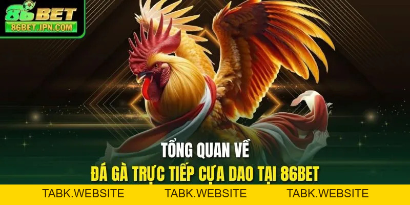Đá Gà Trực Tiếp Cựa Dao Sự Lựa Chọn Nhiều Nhất 2026